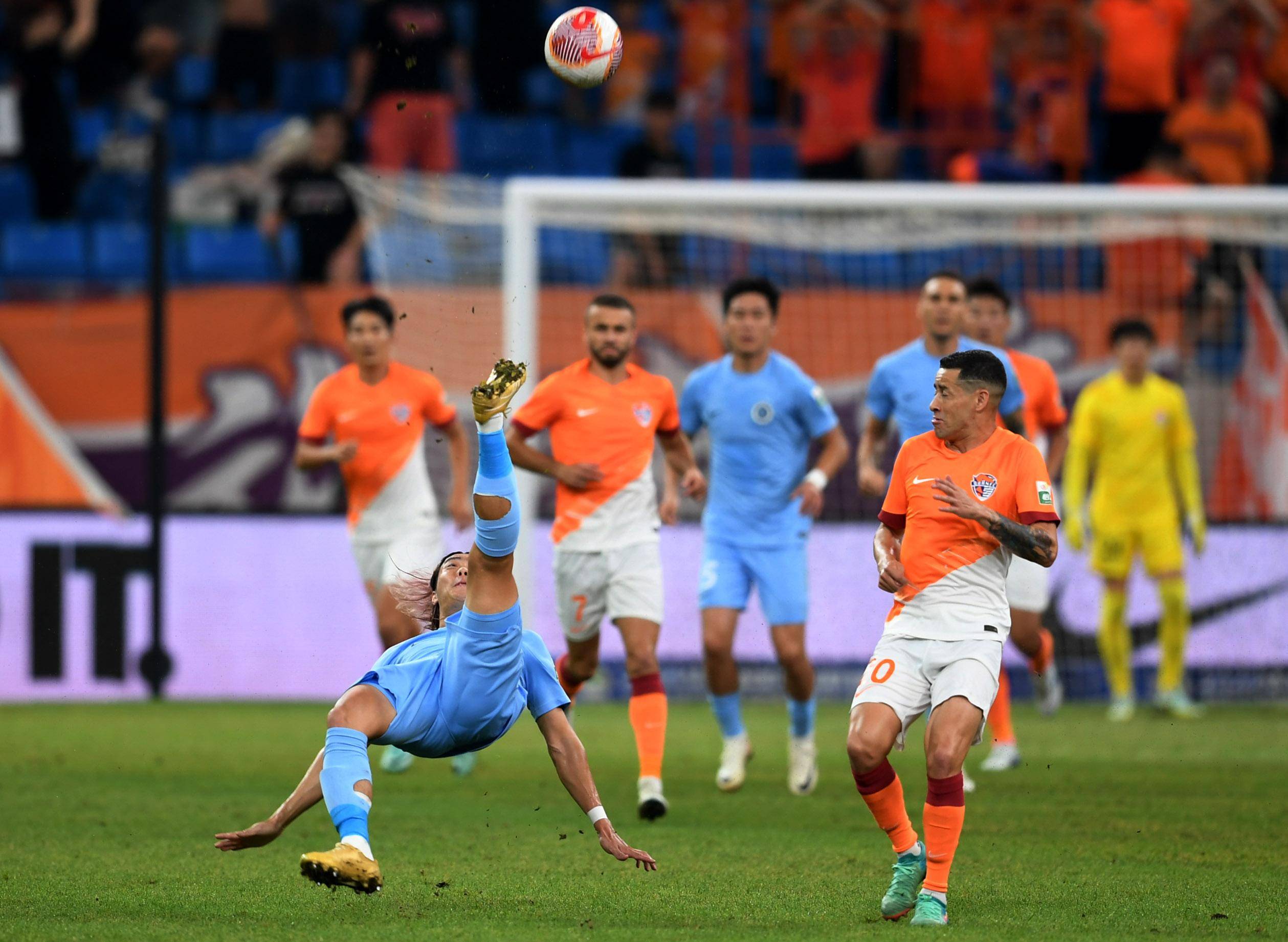 哪怕是近乎 哪怕是近乎